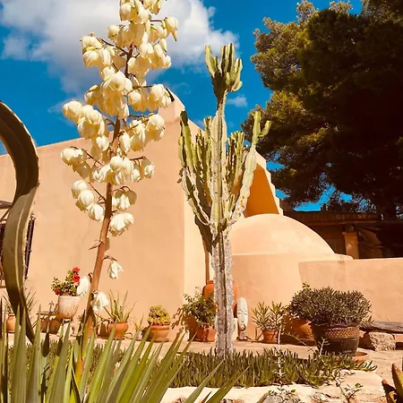 Toni Villa Sant Jordi de ses Salines